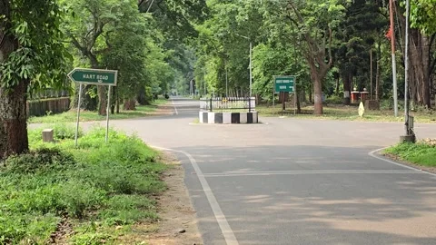 Four-Way Road Junction Surrounded by Lush Greenery Stock Footage 313561633