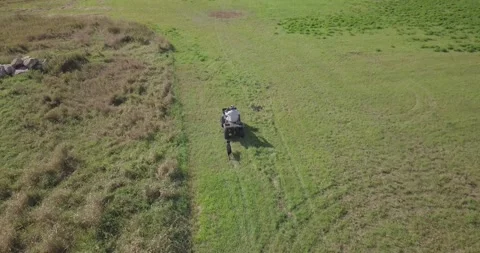 Four wheeler ATV driven through hay field with labrador retriever Stock Footage 318102106