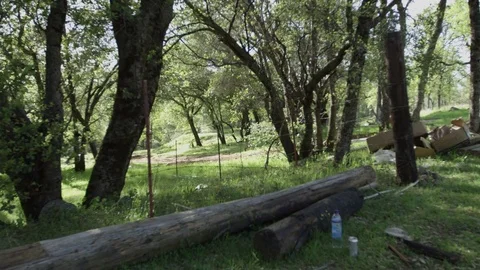 Four Wheeler Riding Through Forest Stock Footage 79009193