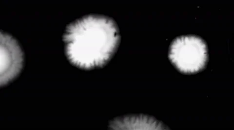 Four white ink abstract painted Stock Footage 42471829