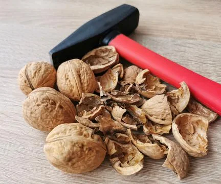 Four whole walnuts, nutshell and hammer Stock Photos