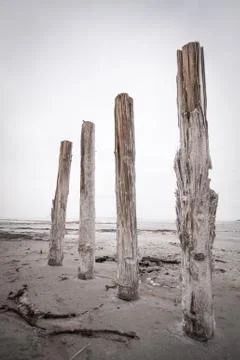 Four wood posts standing in mud of the Great Salt Lake Stock Photos