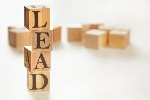 Four wooden cubes arranged in stack with letters LEAD (meaning learning, educ 스톡 사진