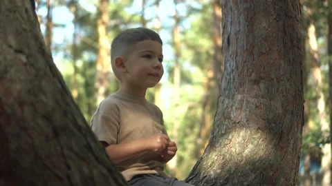Four-Year-Old Boy Sitting on a Tree Branch Fork in Nature and Talking, Close Up Stock Footage 343894505