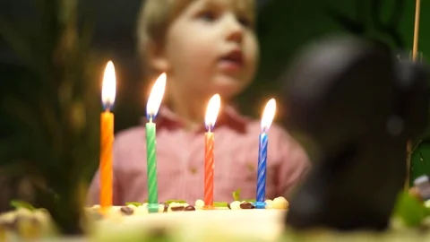 Four years old kid boy blows out candles on a birthday cake Stock Footage 81731007