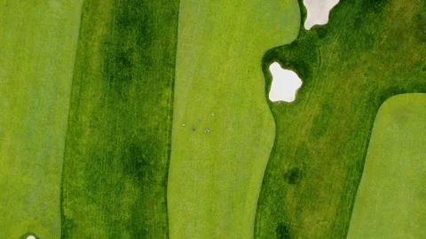 Foursome Group Walking On Golf Course Fairway Stock Footage 255330209