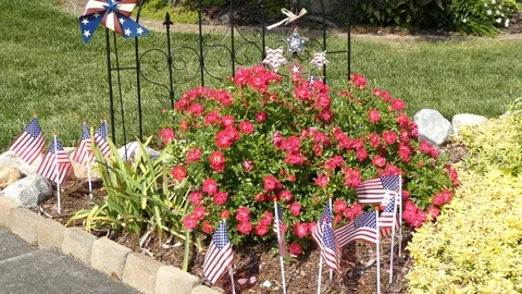 Fourth of July and Roses Stock Footage 107685657
