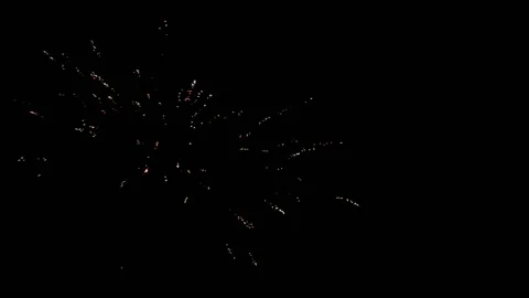 Fourth of July fireworks exploding in dark night sky 動画素材 157976486