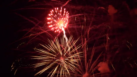 Fourth of July Fireworks Stock Footage 338349845