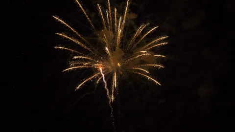 Fourth of July Fireworks Stock Footage 338349892