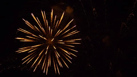 Fourth of July Fireworks Stock Footage 338349947