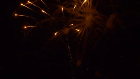 Fourth of July Fireworks Stock Footage 338349968