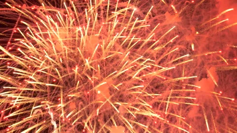 Fourth of July Fireworks Stock Footage 338350067