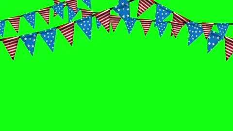 Fourth of July (Independence Day), Memorial Day, or Veterans Day celebration. Stock-Footage 341737798