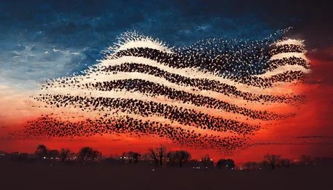 FOURTH OF JULY MURMUR v01 Stock Illustration