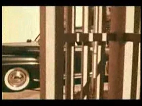 The fourth stage of growing up is between the ages 17 and 20. Stock-Footage 75326446