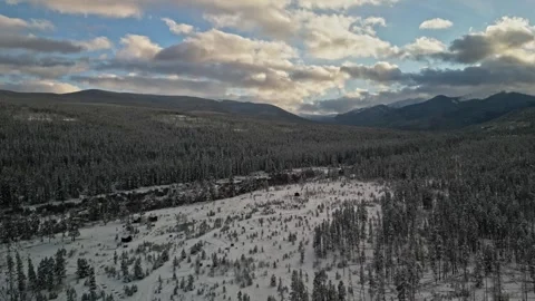 Foward drone of snowy tree tops in mountainous area Stock Footage 255682529