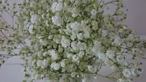 Fowers in bloom in a vase. Stock Footage 152235469