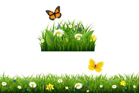 Fowers Border Stock Illustration