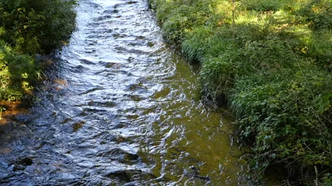 Fowey river Stock Footage 141148761