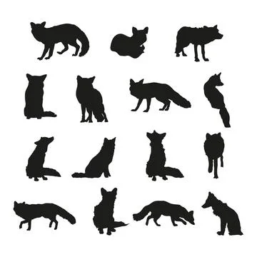 Fox Animal Collection Stock Illustration
