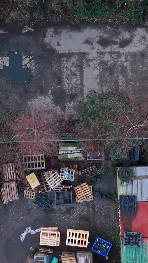 Fox approaches industrial yard as top-down vertical drone reverses over Stock Footage 331455178