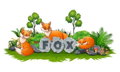 Fox are playing in the garden Stock Illustration