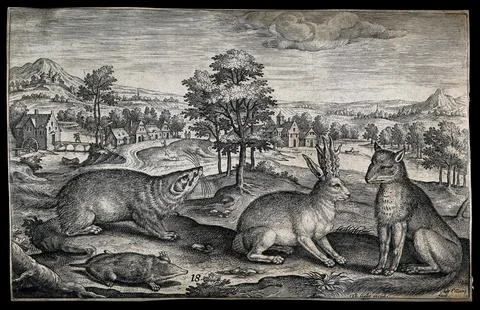 A fox, a beaver and a mole looking at a hare which has grown antlers. Etchi.. Stock Illustration