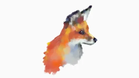Fox Digital Sketch Stock Footage 134305576