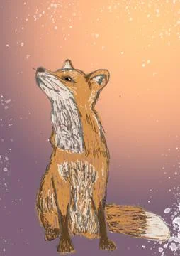 A fox drawing Stock Illustration