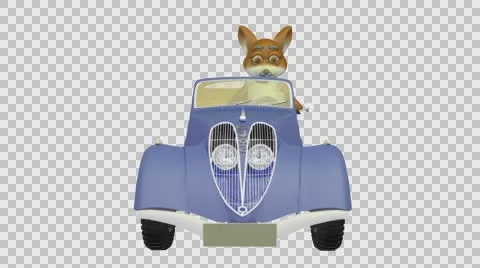 FOX DRIVING CAR FRONT VIEW Vídeos de archivo 68343564