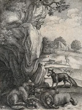 A fox is facing a wolf outside its lair surrounded by its prey while in the.. Stock Illustration