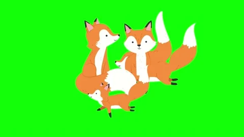 Fox family 2d animation screen green Stock Footage