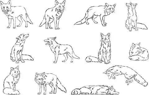 Fox figure line black Stock Illustration