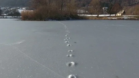 Fox footprint on frozen alps lake Stock Footage