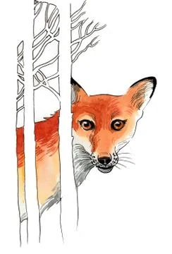 Fox in the forest Illustrazione stock