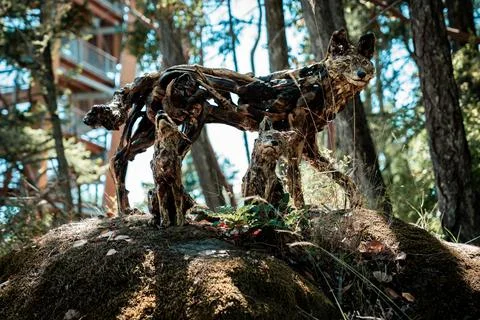 Fox in the forest Stock-Fotos