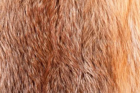 Fox fur cloth texture abstract Stock Photos