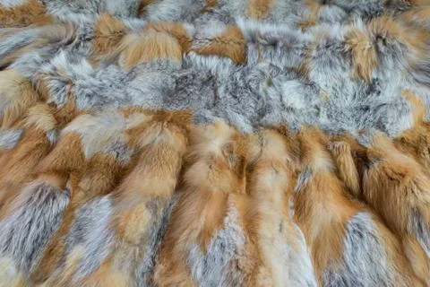 Fox fur Stock Photos