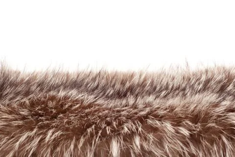 Fox fur Stock Photos