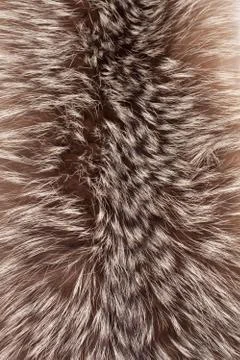 Fox fur Foto stock