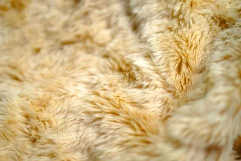 Fox fur texture background image Stock Photos