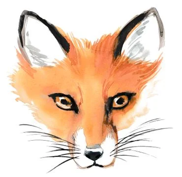 Fox head Illustrazione stock