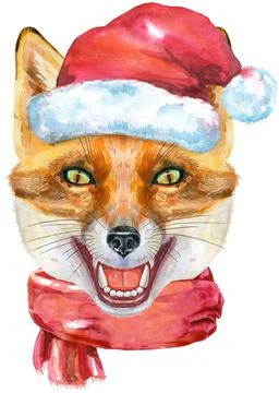Fox head in Santa hat and red scarf. Watercolor fox painting illustration Иллюстрация