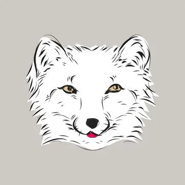 Fox Head Sign and Illustration Stock Illustration