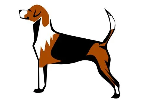 Fox hound Stock Illustration