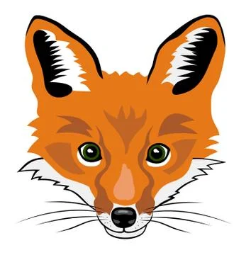 Fox Stock Illustration