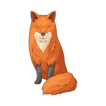 Fox illustration Stock Illustration