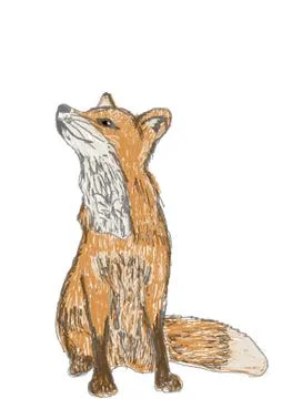A fox look up Illustrazione stock