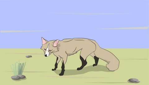 Fox on nature background, Illustrazione stock